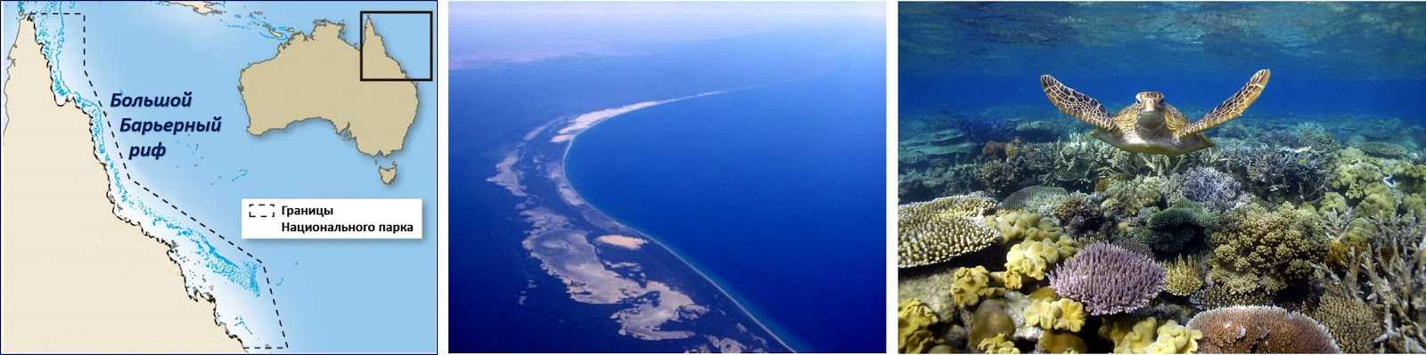 Большой барьерный риф (австралия) - фото, факты, где находится на карте мира
