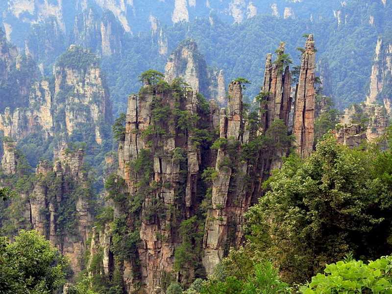 20 красивых лесов со всего мира, которые показывают, насколько великолепна природа