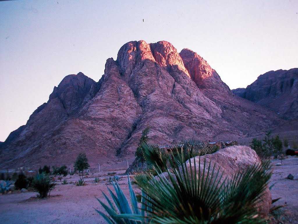 Гора синай ℹ️ где находится гора моисея в египте, высота, восхождение, монастырь святой екатерины, фото, сколько километров идти, туры на синайский полуостров
