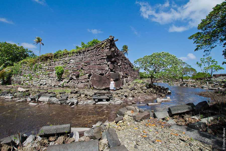 Сокотра: место, где обитают эльфы, или чудом уцелевший остров из прошлого