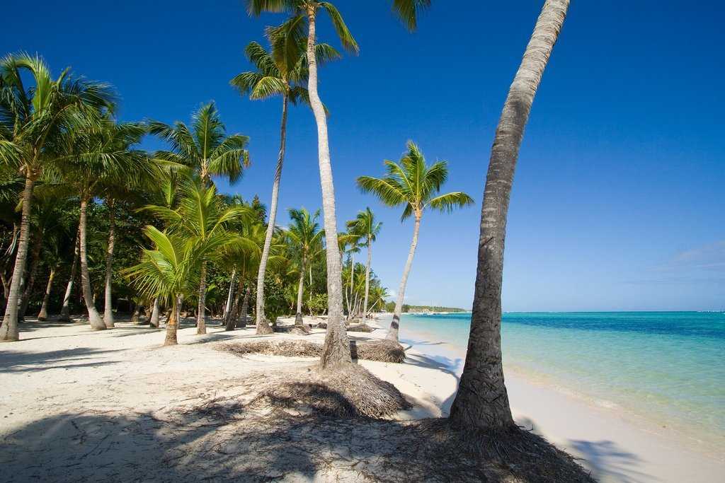 Курорты доминиканы: самые популярные, где лучше отдыхать, советы