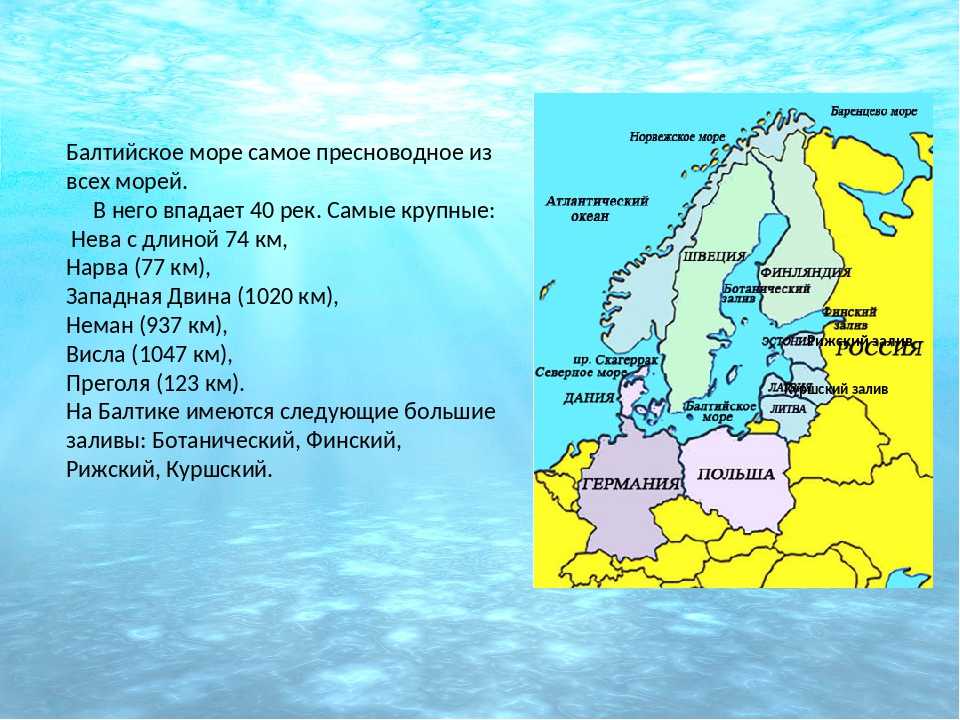 Балтийское море — история, описание, 6 фото, 1 видео, координаты на карте, адрес, отзывы