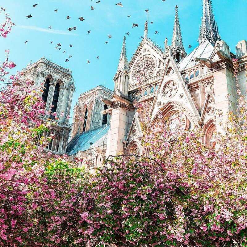 12 самых красивых и необычных соборов и церквей франции