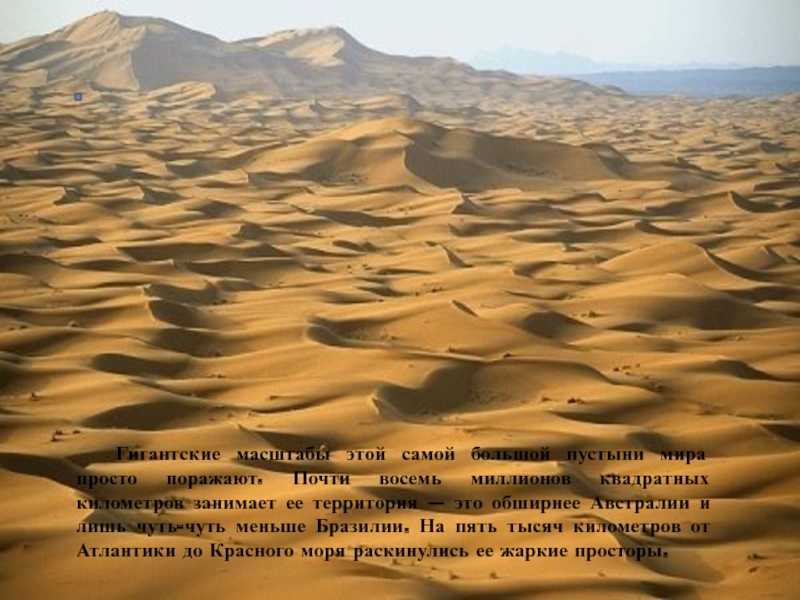 Самая крупная пустыня на земле. Крупнейшие пустыни. Климат пустыни. Самые крупные пустыни.