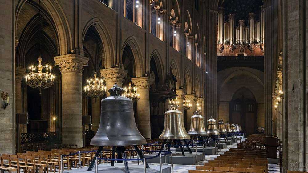 10 малоизвестных фактов о соборе парижской богоматери (нотр-дам де пари) :: инфониак
