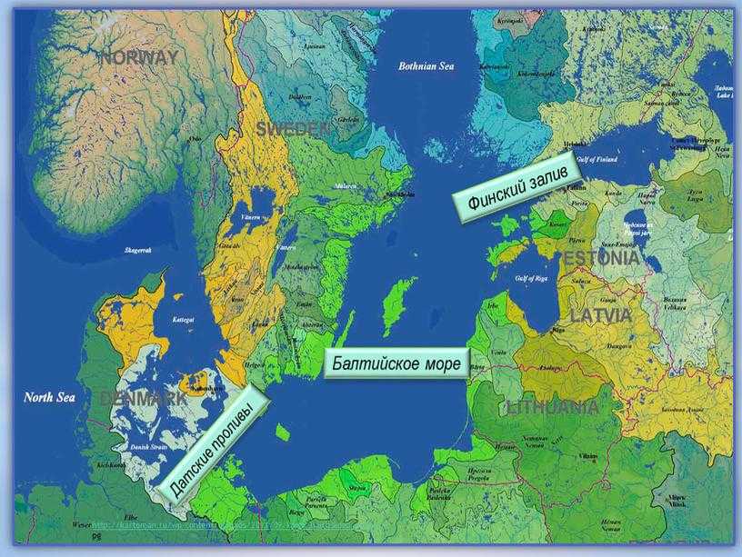 50 интересных фактов о балтийском море — общенет