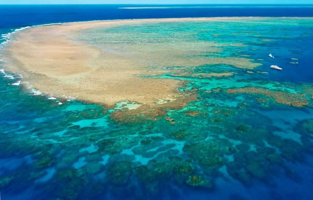 Большой барьерный риф (австралия) - фото, факты, где находится на карте мира